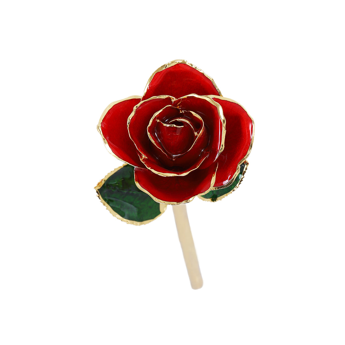 24k Gold Dipped Rose