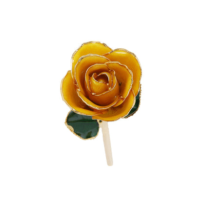 24k Gold Dipped Rose