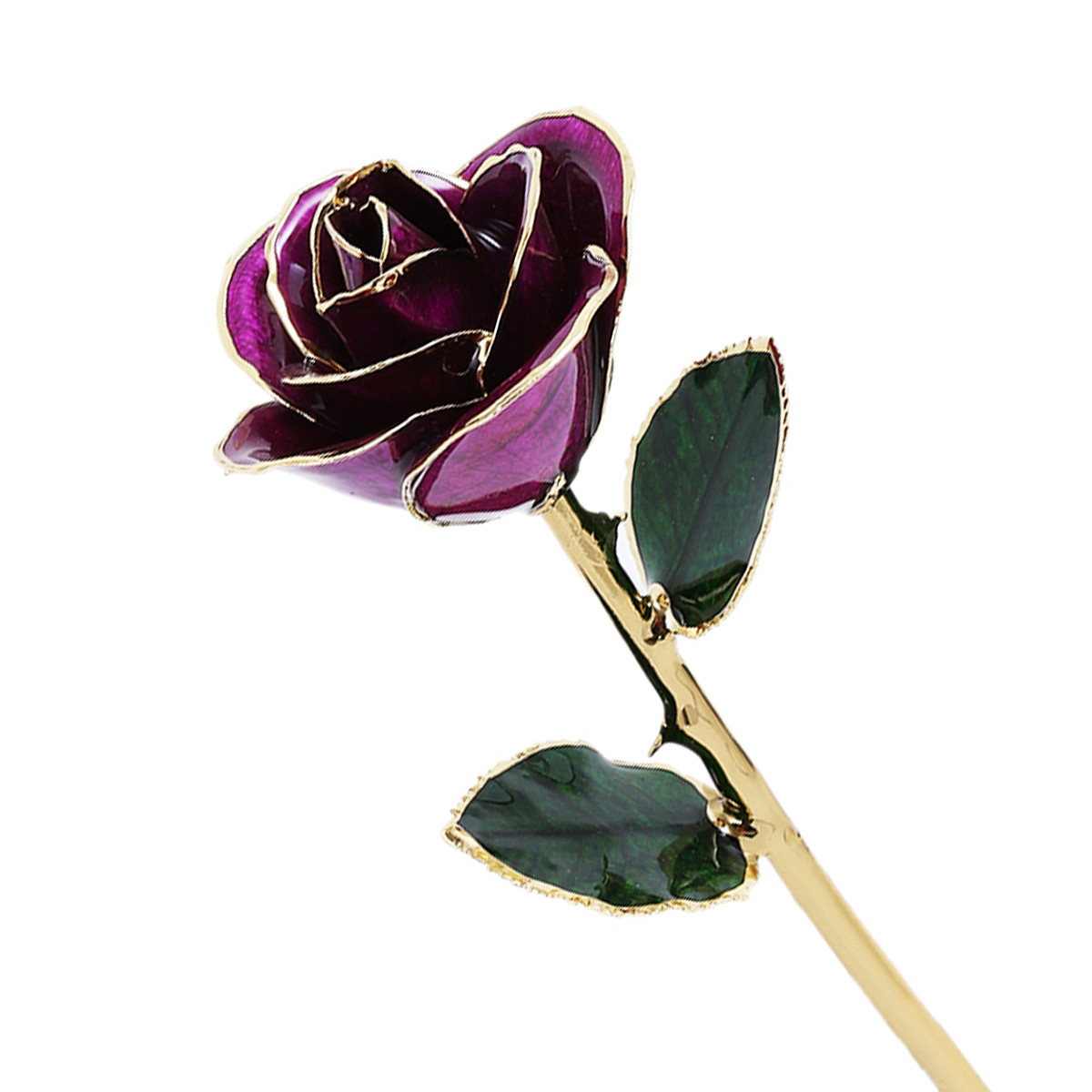 24k Gold Dipped Rose