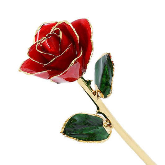 24k Gold Dipped Rose